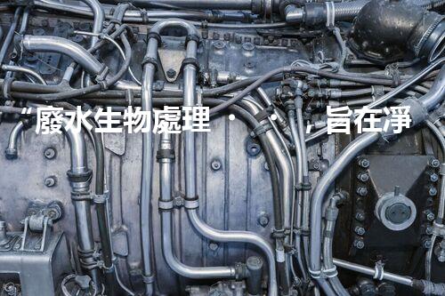 “廢水生物處理，旨在凈化水源，守護(hù)碧水藍(lán)天”